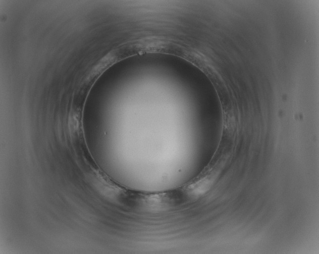 X0000073860382200608170948