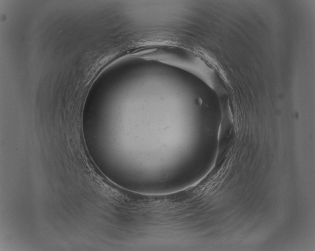 X0000073860385200608170948