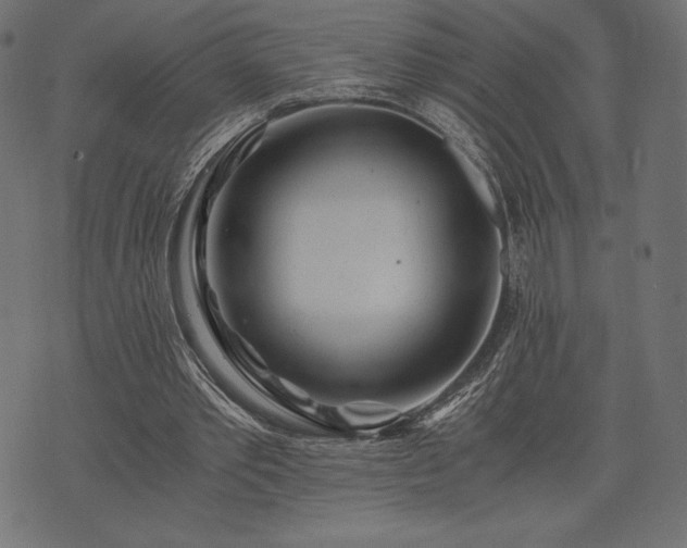 X0000073860389200608170948