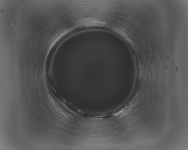 X0000073860391200608170948