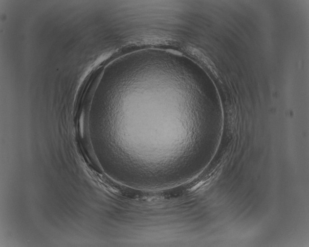 X0000073860395200608170947