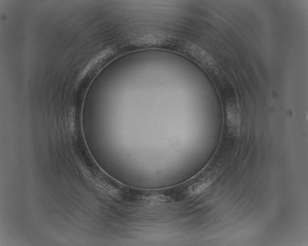 X0000073860396200608170947