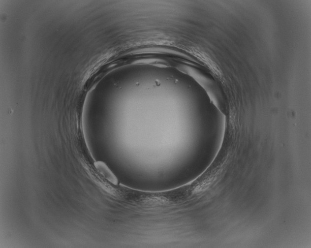 X0000073860397200608170947