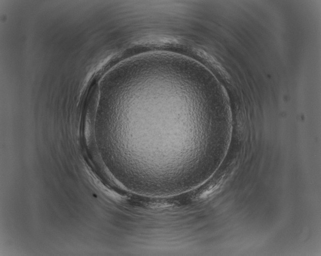 X0000073860399200608170947