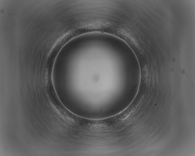 X0000073860400200608170947