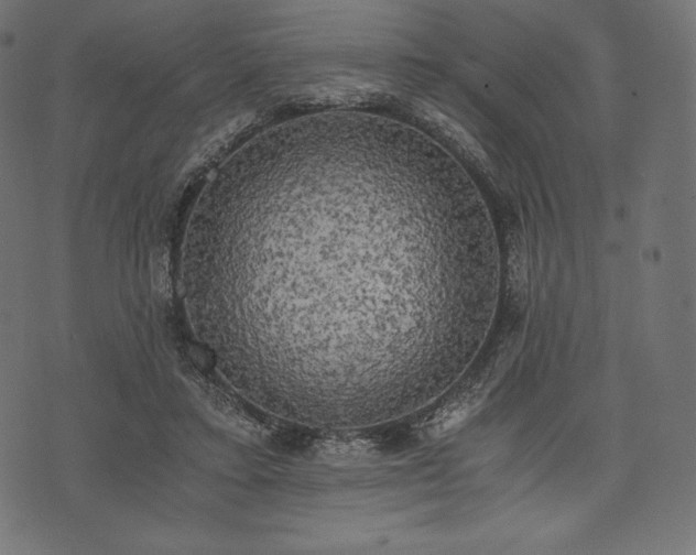 X0000073860403200608170947