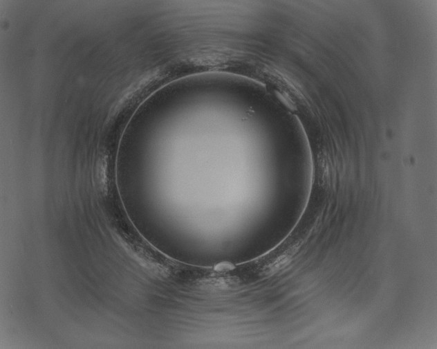 X0000073860404200608170947