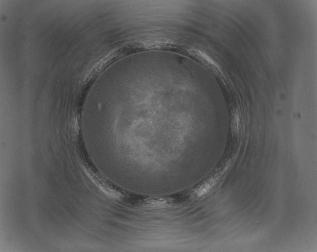 X0000073860405200608170947