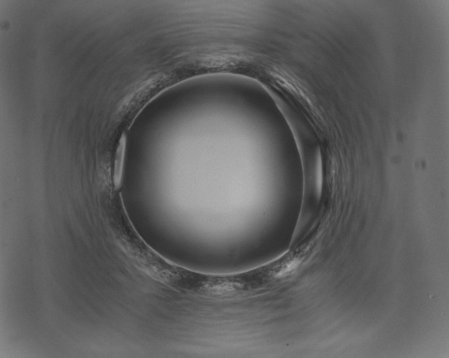 X0000073860407200608170947