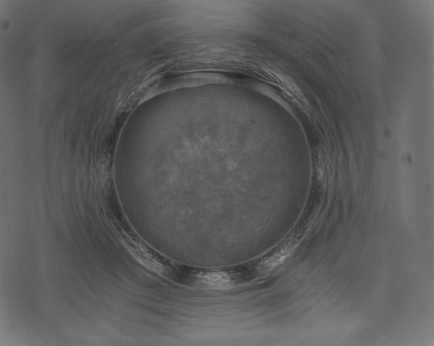 X0000073860409200608170947