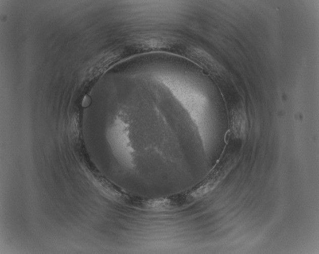 X0000073860410200608170947