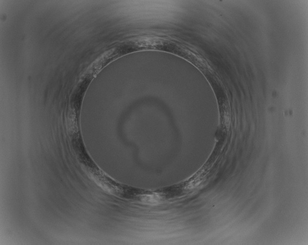 X0000073860411200608170947