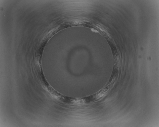 X0000073860415200608170947