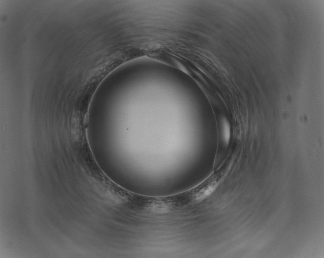 X0000073860416200608170947