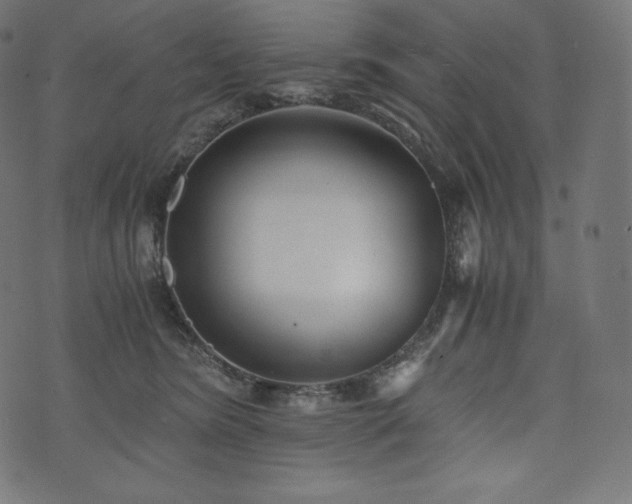 X0000073860420200608170947