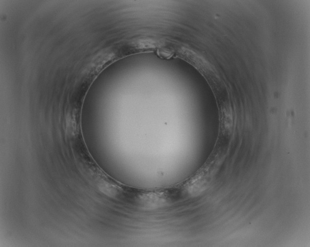 X0000073860422200608170947