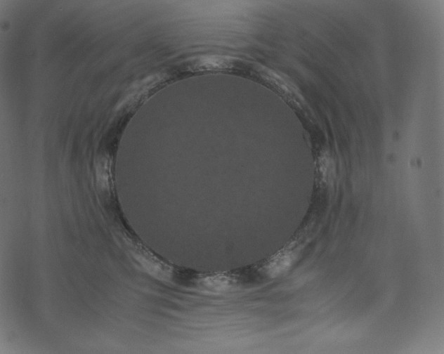 X0000073860423200608170947