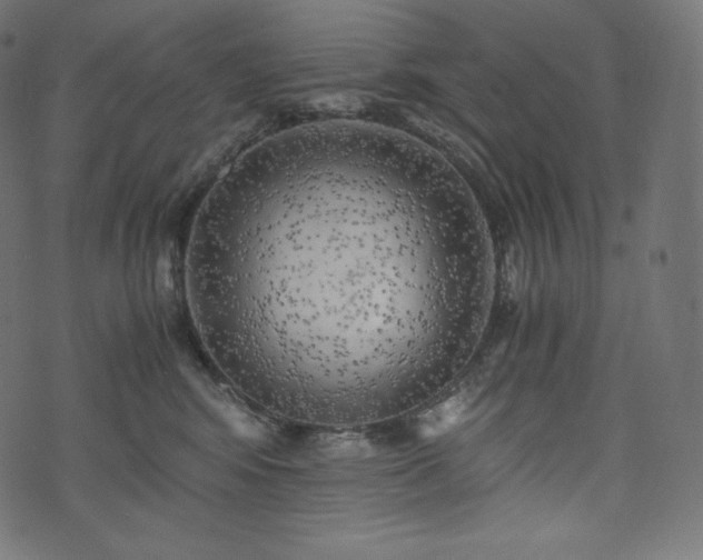 X0000073860424200608170947