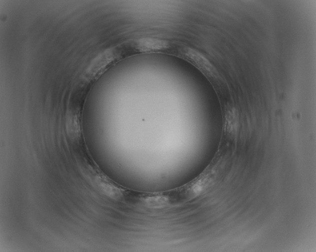 X0000073860426200608170947