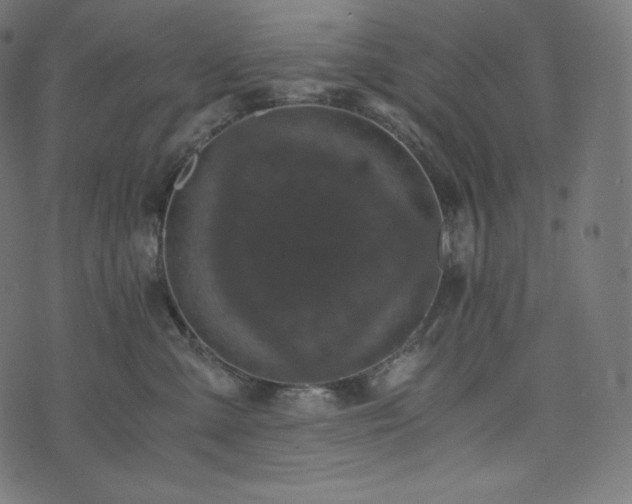 X0000073860427200608170947