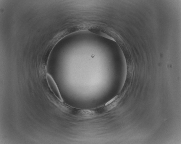 X0000073860429200608170947