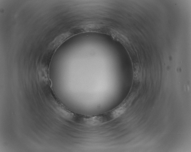 X0000073860430200608170947