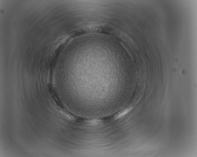 X0000073860432200608170947