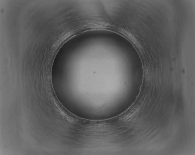 X0000073860433200608170946