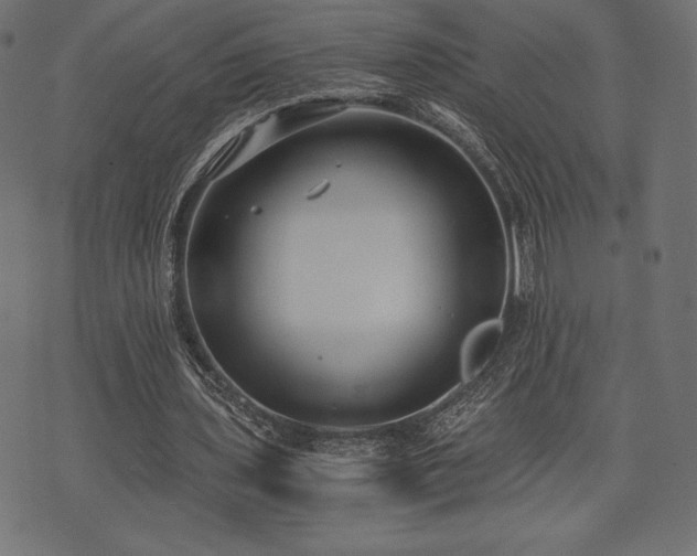 X0000073860435200608170946