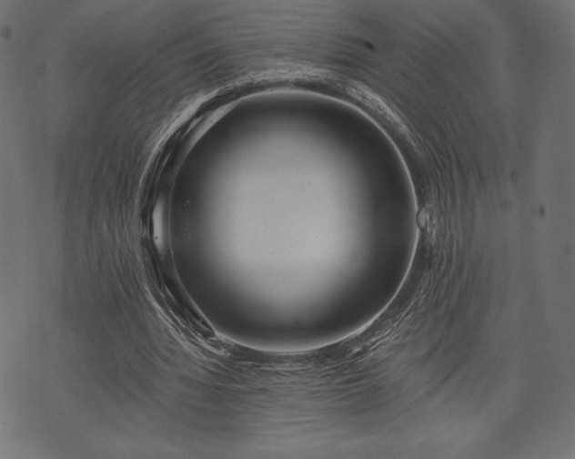 X0000073860436200608170946