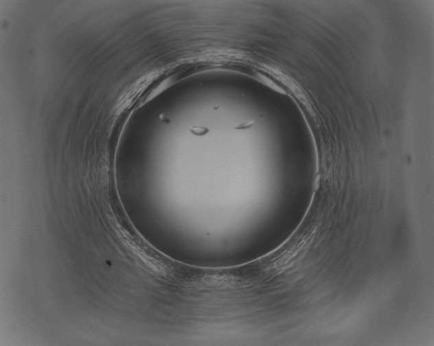 X0000073860437200608170946