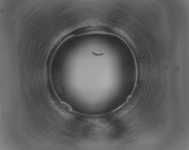 X0000073860439200608170946