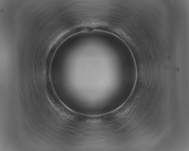 X0000073860440200608170946