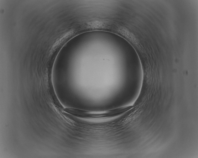 X0000073860442200608170946