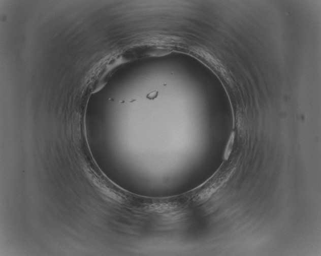 X0000073860445200608170946