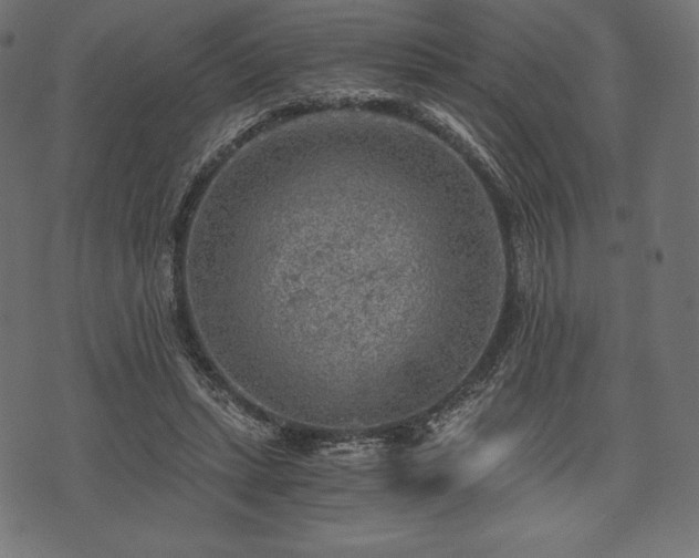 X0000073860447200608170946