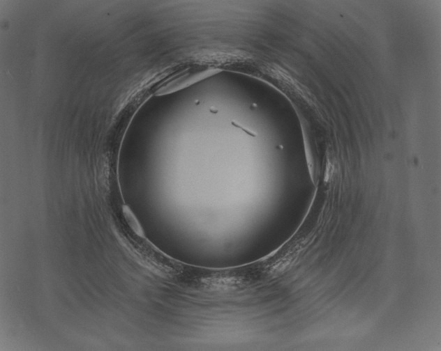 X0000073860448200608170946