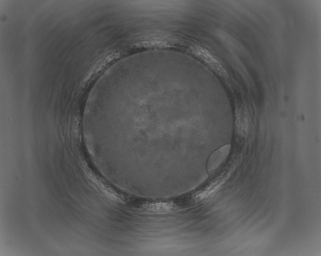 X0000073860449200608170946