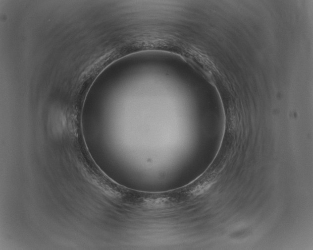 X0000073860450200608170946