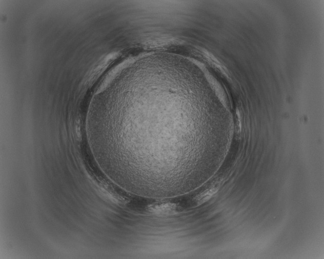 X0000073860452200608170946