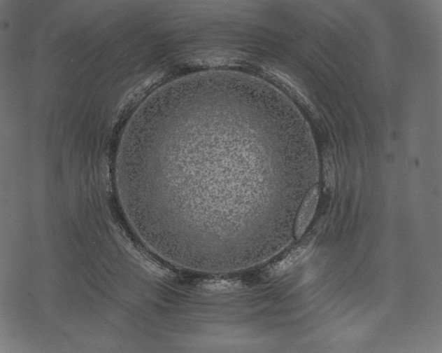 X0000073860453200608170946