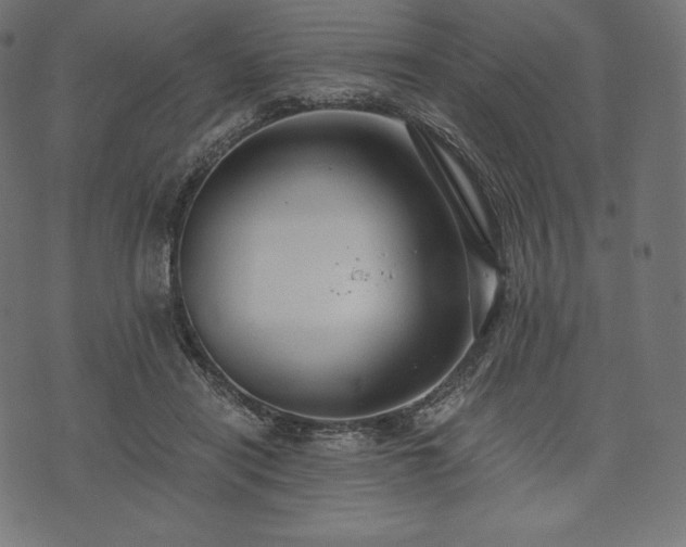 X0000073860454200608170946