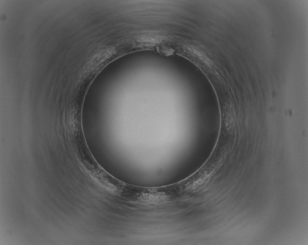 X0000073860455200608170946