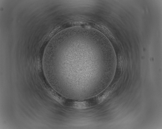 X0000073860457200608170946