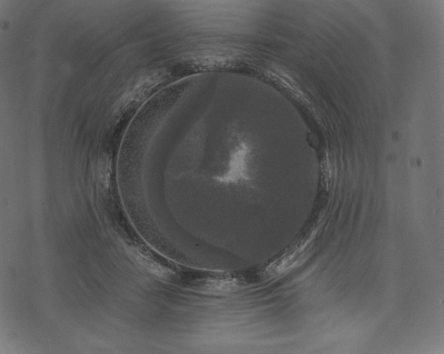 X0000073860458200608170946