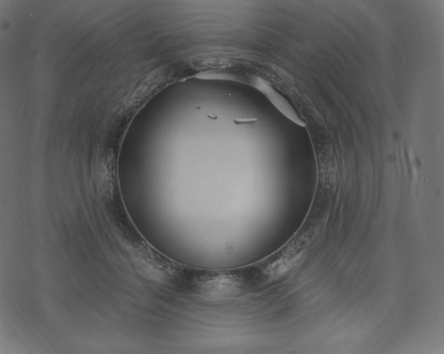 X0000073860460200608170946