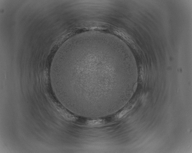 X0000073860461200608170947