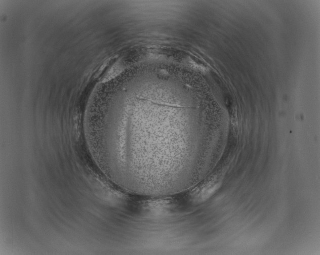 X0000073860462200608170947