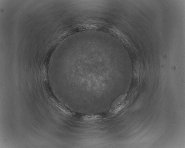 X0000073860465200608170947