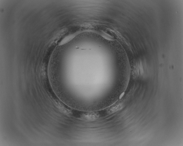 X0000073860466200608170947